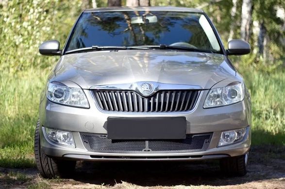 Защитная сетка переднего бампера Skoda Fabia II 2010-2013 г.в. Шкода Фабиа