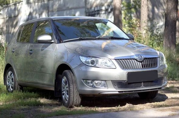 Защитная сетка переднего бампера Skoda Fabia II 2010-2013 г.в. Шкода Фабиа