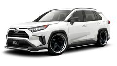 Toyota RAV4 2019+ г.в.