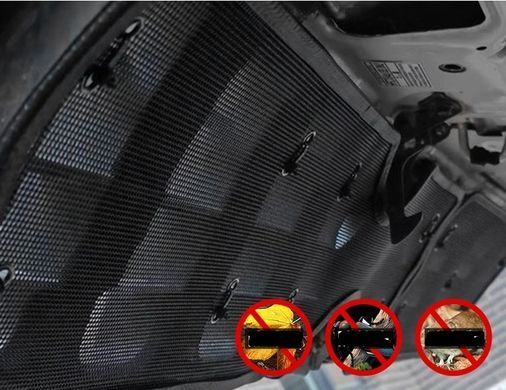 Захисна сітка переднього бампера для Toyota Land Cruiser LC300 2021+ р.в. Тойота ЛК300, Черный