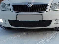 Зимова заглушка решітки переднього бампера Skoda Octavia A5 2008-2013 р.в. Шкода Октавіа А5