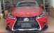 Тюнінг бампер Lexus IS 250 2006-2012 р.в.  Лексус ІС стиль GS, Серый грунт (под покраску), Зовнішній тюнінг, Lexus, Накладка на передний бампер, Требуется, Полипропилен, IS, Новое, На штатные места, IS II (GSE2_, ALE2_, USE2_) 2005-