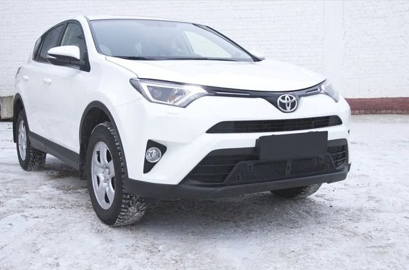 Защитная сетка решетки переднего бампера Toyota Rav4 2015+ г.в. Тойота Рав4