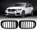 Решетки радиатора ноздри BMW X5 F15 \ X6 F16 2013-2018 г.в. с одиночными ребрами