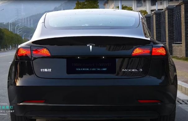 Задние лед фонари Tesla Model 3 2017-2020 г.в. Тесла Модел 3, Оптика, Tesla, Альтернативная оптика, Model 3, Новое, На штатные места