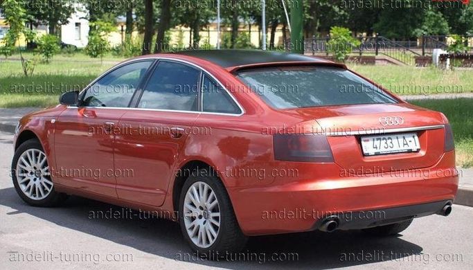 Козырек заднего стекла ( бленда, спойлер ) Audi A6 C6 2004-2011 г.в.