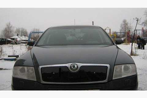 Защитная сетка радиатора ProtectGrille для Skoda Octavia А5 (2008-2013 Черная)